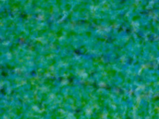 20260507090400977.tif