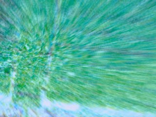 20260507090407969.tif