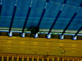 20260507090438012.tif