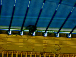 20260507090458026.tif