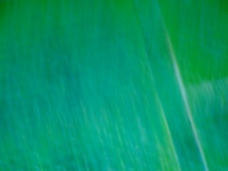 20260507090650165.tif