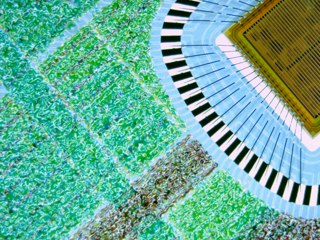 20260507090752281.tif