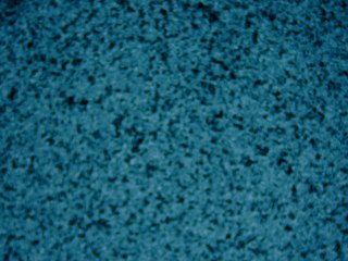 20260507090800266.tif
