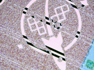 20260507090905302.tif