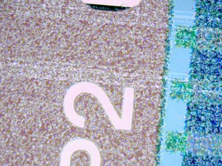 20260507091015462.tif