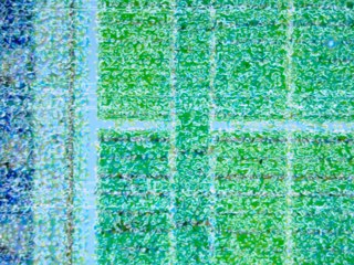 20260507091024434.tif