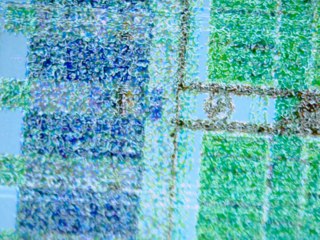20260507091038456.tif