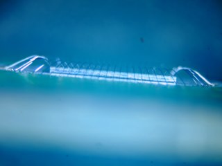 20260507091610318.tif