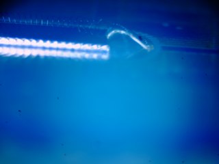 20260507091739433.tif