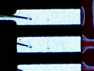 20260506155136631.tif
