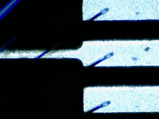 20260506155143669.tif
