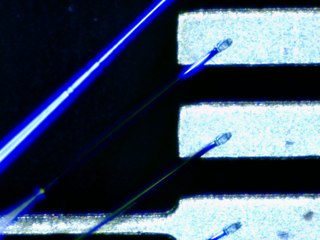 20260506155146694.tif