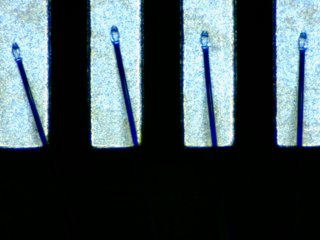 20260506155156704.tif