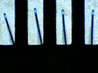 20260506155157700.tif