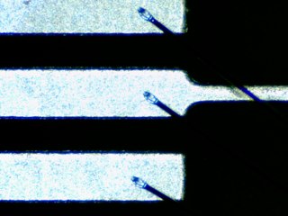 20260506155206684.tif