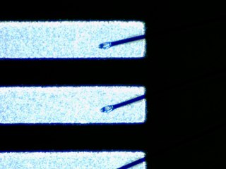 20260506155231685.tif