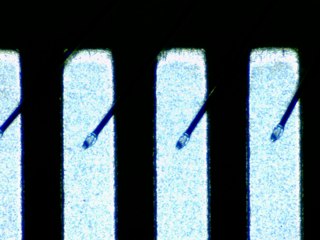 20260506155238696.tif