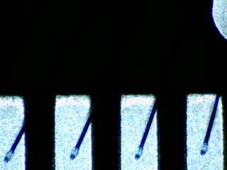 20260506155241680.tif