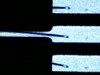 20260506155247702.tif
