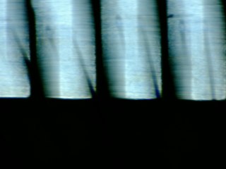 20260506155259696.tif