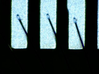 20260506155300688.tif