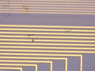 20260506160454819.tif