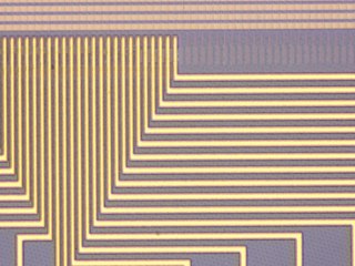 20260506160554333.tif