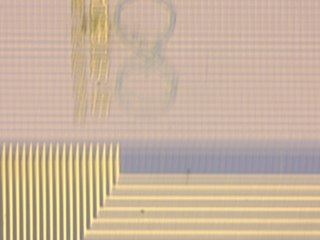 20260506160619331.tif