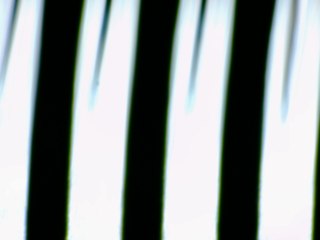 20260506160650377.tif
