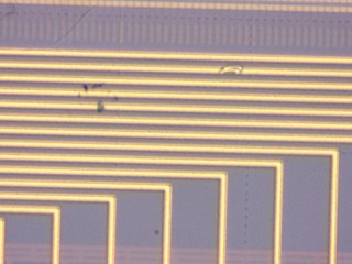 20260506160655394.tif