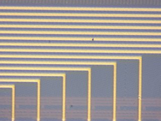 20260506160907065.tif