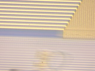 20260506160911084.tif