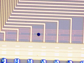 20260506161051403.tif