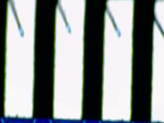 20260506161218473.tif