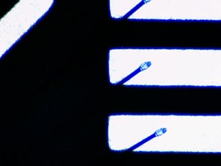 20260506161437083.tif