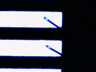 20260506161452137.tif