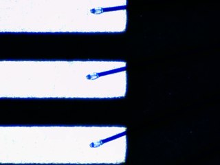 20260506161455151.tif