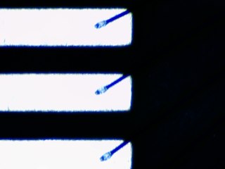 20260506161456131.tif