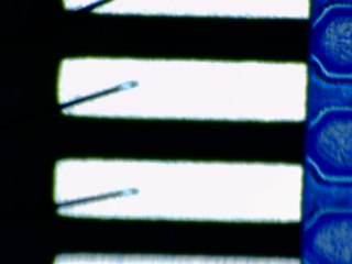 20260506161637554.tif