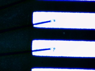 20260506161658662.tif