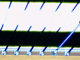 20260506161946808.tif
