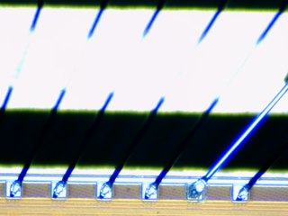 20260506161947801.tif