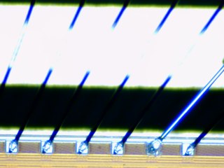 20260506161949802.tif