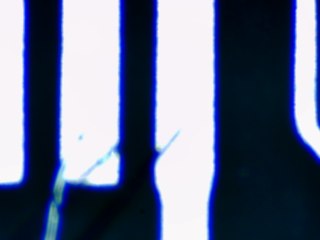 20260506161957844.tif