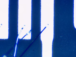 20260506162006845.tif