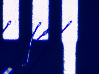 20260506162008833.tif