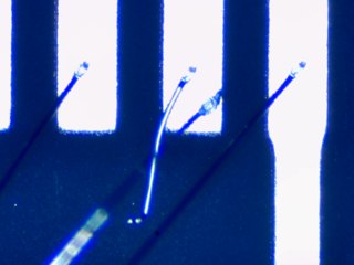 20260506162011834.tif