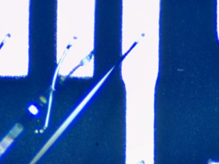 20260506162050854.tif