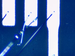 20260506162052855.tif