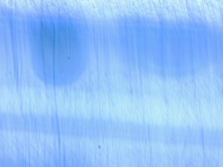 20260506162111888.tif